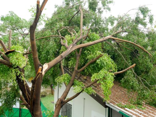 Roof Storm Damage Repair in Dallas, TX